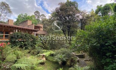 Casa en renta en medio del bosque