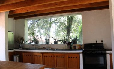 Casa en renta en medio del bosque