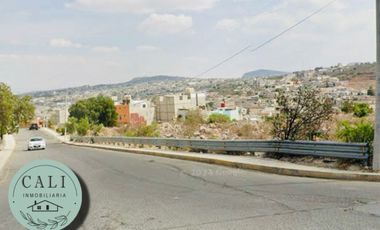 TERRENO EN RENTA EN COLOSIO