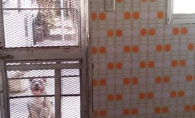 Casa en Castelar