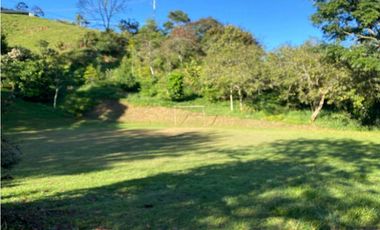 Venta Finca en Girardota, 8.595 mts, 1 solo  nivel, El Totumo,