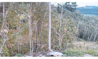 Lote en parcelación en El Retiro sector la Lorena [CM]