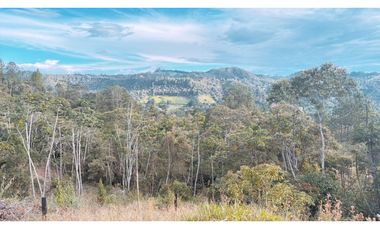 Lote en parcelación en El Retiro sector la Lorena [CM]