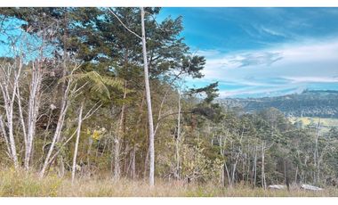 Lote en parcelación en El Retiro sector la Lorena [CM]