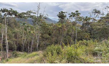 Lote en parcelación en El Retiro sector la Lorena [CM]