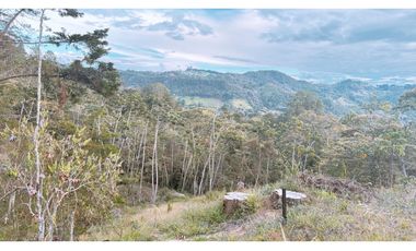 Lote en parcelación en El Retiro sector la Lorena [CM]