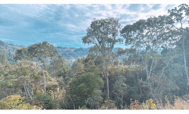 Lote en parcelación en El Retiro sector la Lorena [CM]