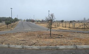 Terreno Condominio de Los Olivos Pelequen