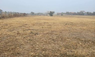 Terreno Condominio de Los Olivos Pelequen