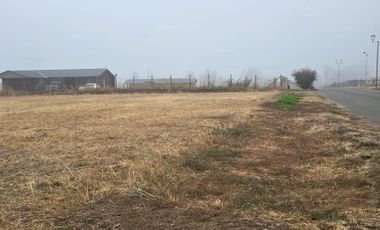 Terreno Condominio de Los Olivos Pelequen