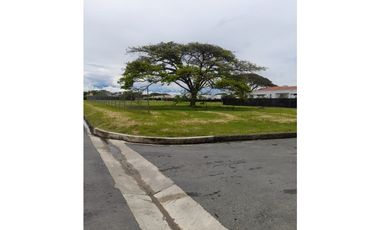 VENTA DE LOTE EN ROZO