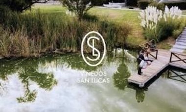 RENTA DE CASA AMUEBLADA EN VIÑEDO SAN LUCAS. SAN MIGUEL DE ALLENDE.