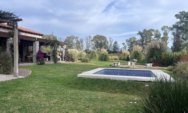 RENTA DE CASA AMUEBLADA EN VIÑEDO SAN LUCAS. SAN MIGUEL DE ALLENDE.