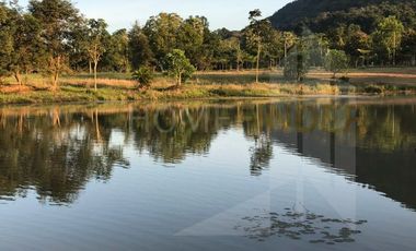 Land for sale in Prajinburi L-317