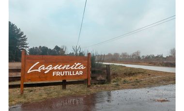 Casa Amoblada En Frutillar - Austral Partners