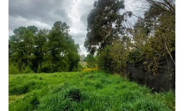 Hauslink Arrienda Casa En Parcela 5d2b