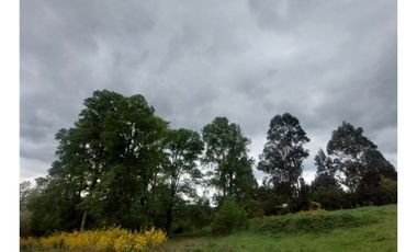 Hauslink Arrienda Casa En Parcela 5d2b