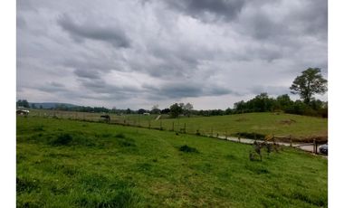 Hauslink Arrienda Casa En Parcela 5d2b