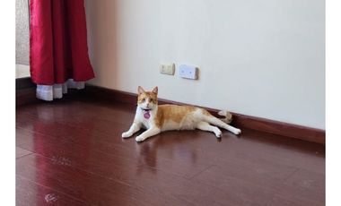 Se Vende Depto De 3 Dormitorios Y 1 Baño En Metro Quinta Nor