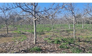 Casablanca/ Casa Parcela  - Cordillera Norte