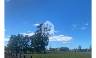 Parcela Lago Ranco Urbanizada Orilla Rio - Rio Sur Corretaje