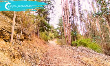 Parcela De 1 Hectárea Con Estero En El Totoral, Comuna De El
