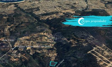 Parcela De 1 Hectárea Con Estero En El Totoral, Comuna De El