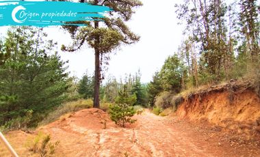 Parcela De 1 Hectárea Con Estero En El Totoral, Comuna De El