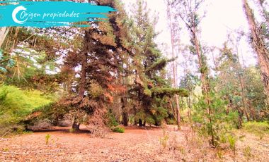 Parcela De 1 Hectárea Con Estero En El Totoral, Comuna De El