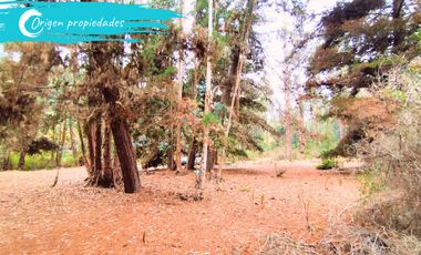 Parcela De 1 Hectárea Con Estero En El Totoral, Comuna De El