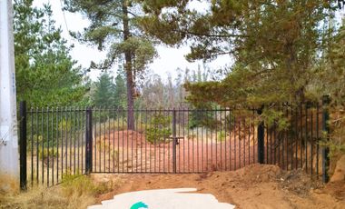 Parcela De 1 Hectárea Con Estero En El Totoral, Comuna De El