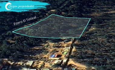 Parcela De 1 Hectárea Con Estero En El Totoral, Comuna De El