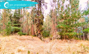 Parcela De 1 Hectárea Con Estero En El Totoral, Comuna De El