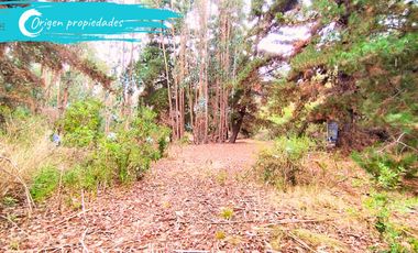 Parcela De 1 Hectárea Con Estero En El Totoral, Comuna De El