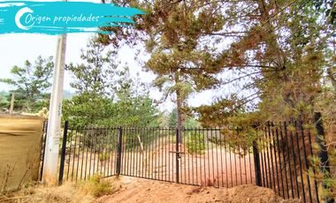 Parcela De 1 Hectárea Con Estero En El Totoral, Comuna De El