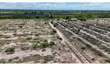 VENTA EXCEPCIONAL FINCA DE 231 HAS EN LOS CAMPAMENTOS- RIVADAVIA, MZA