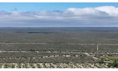 VENTA EXCEPCIONAL FINCA DE 231 HAS EN LOS CAMPAMENTOS- RIVADAVIA, MZA