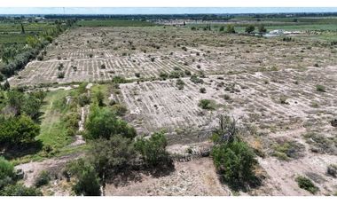 VENTA EXCEPCIONAL FINCA DE 231 HAS EN LOS CAMPAMENTOS- RIVADAVIA, MZA