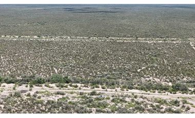 VENTA EXCEPCIONAL FINCA DE 231 HAS EN LOS CAMPAMENTOS- RIVADAVIA, MZA