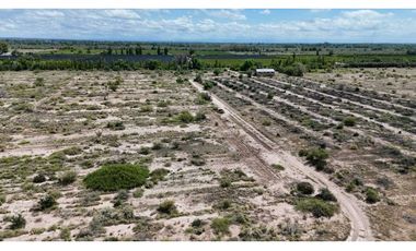VENTA EXCEPCIONAL FINCA DE 231 HAS EN LOS CAMPAMENTOS- RIVADAVIA, MZA