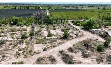 VENTA EXCEPCIONAL FINCA DE 231 HAS EN LOS CAMPAMENTOS- RIVADAVIA, MZA