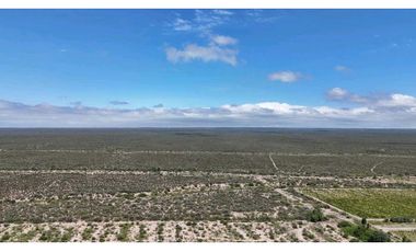 VENTA EXCEPCIONAL FINCA DE 231 HAS EN LOS CAMPAMENTOS- RIVADAVIA, MZA
