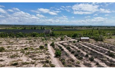 VENTA EXCEPCIONAL FINCA DE 231 HAS EN LOS CAMPAMENTOS- RIVADAVIA, MZA