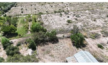 VENTA EXCEPCIONAL FINCA DE 231 HAS EN LOS CAMPAMENTOS- RIVADAVIA, MZA