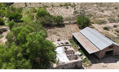 VENTA EXCEPCIONAL FINCA DE 231 HAS EN LOS CAMPAMENTOS- RIVADAVIA, MZA