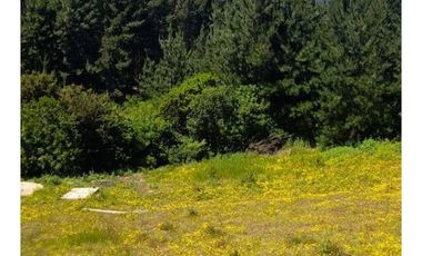 Finster Vende Linda Parcela De 5.200m2 Barrancas, Pichilemu