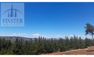 Finster Vende Linda Parcela De 5.200m2 Barrancas, Pichilemu