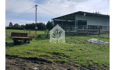 Campo 24ha. + Lecheria + Orilla Rio - Rio Sur Corretajes