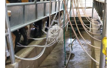 Campo 24ha. + Lecheria + Orilla Rio - Rio Sur Corretajes