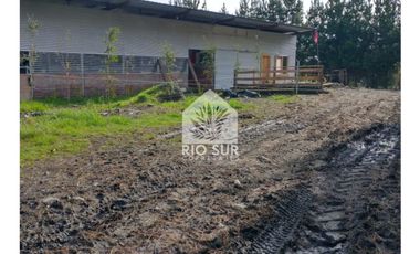 Campo 24ha. + Lecheria + Orilla Rio - Rio Sur Corretajes